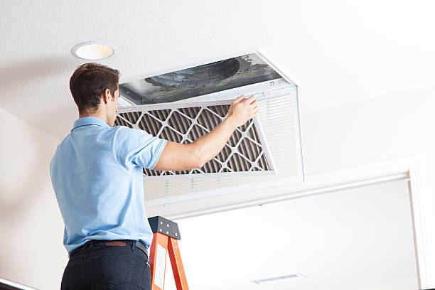 Best HVAC air duct cleaning  in Jackson, AL